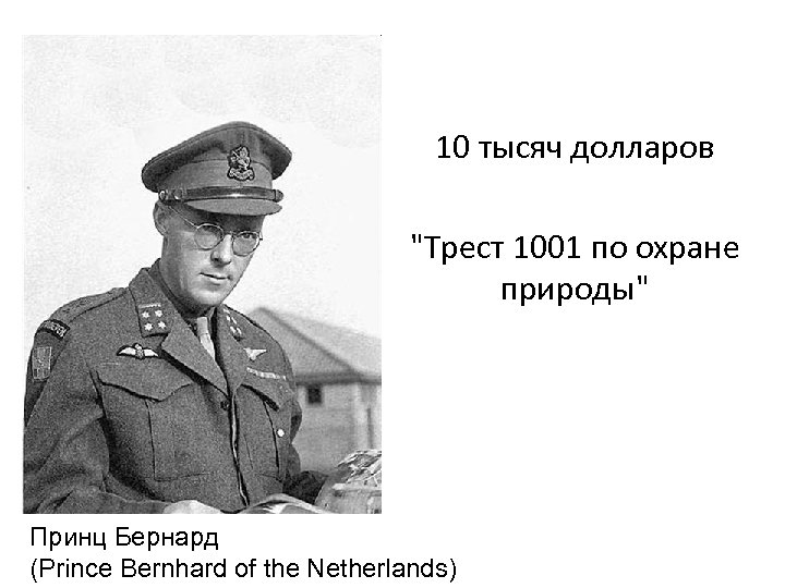 10 тысяч долларов 
