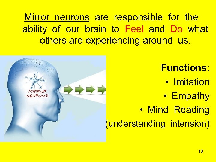Mirror neurons are responsible for the ability of our brain to Feel and Do