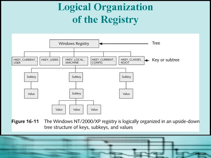 Logical Organization of the Registry 