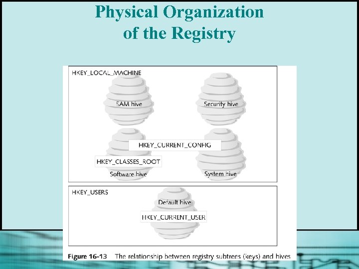 Physical Organization of the Registry 