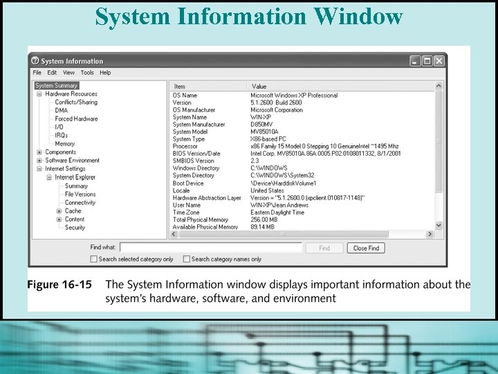 System Information Window 