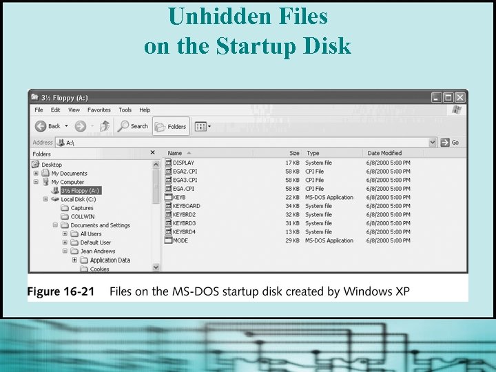 Unhidden Files on the Startup Disk 