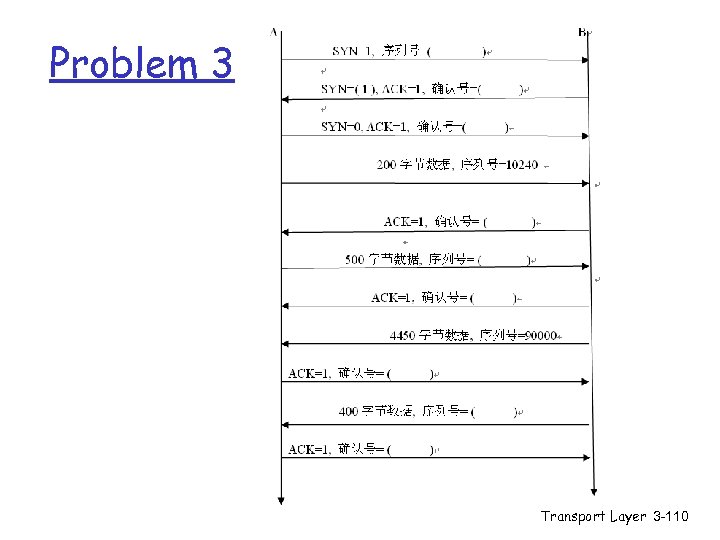 Problem 3 Transport Layer 3 -110 