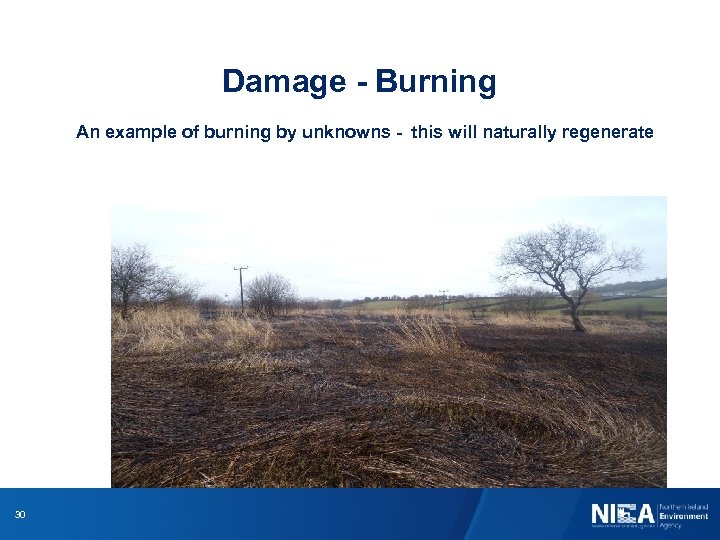 Damage - Burning An example of burning by unknowns - this will naturally regenerate