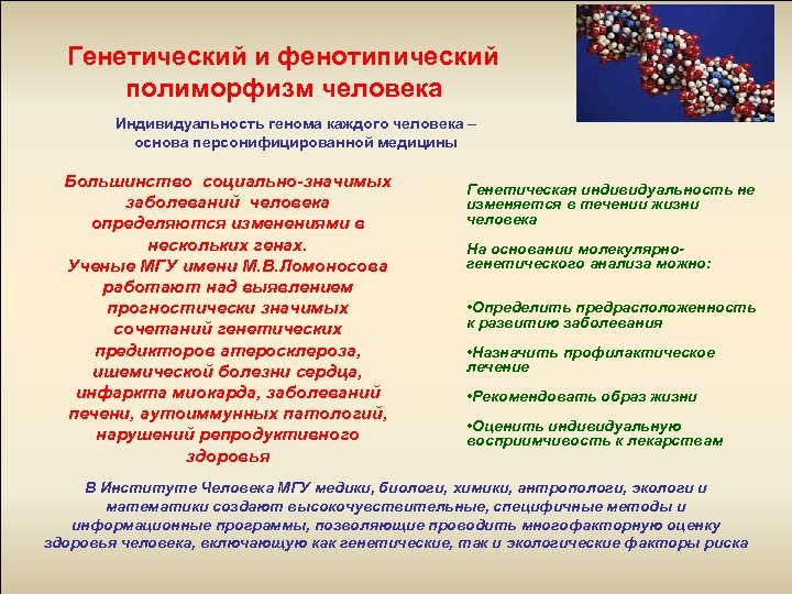 Генетический и фенотипический полиморфизм человека Индивидуальность генома каждого человека – основа персонифицированной медицины Большинство