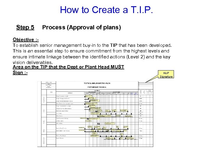 How to Create a T. I. P. Step 5 Process (Approval of plans) Objective