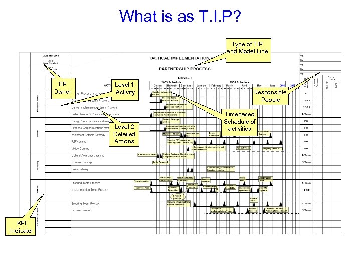 What is as T. I. P? Type of TIP and Model Line TIP Owner