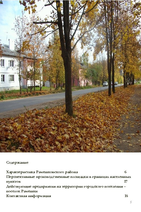 Содержание Характеристика Рамешковского района 6 Перспективные производственные площадки в границах населенных пунктов 17 Действующие