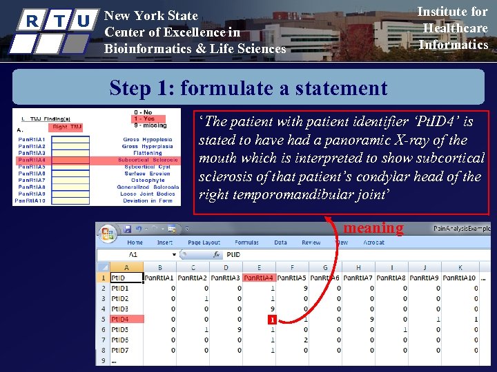 R T U Institute for Healthcare Informatics New York State Center of Excellence in