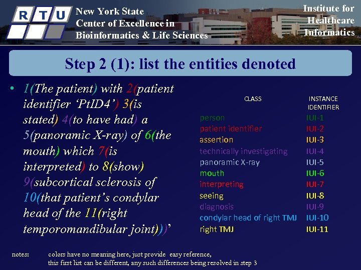 R T U Institute for Healthcare Informatics New York State Center of Excellence in