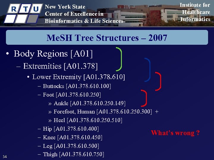 R T U New York State Center of Excellence in Bioinformatics & Life Sciences