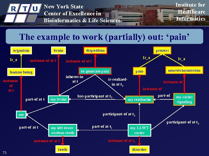 R T U Institute for Healthcare Informatics New York State Center of Excellence in