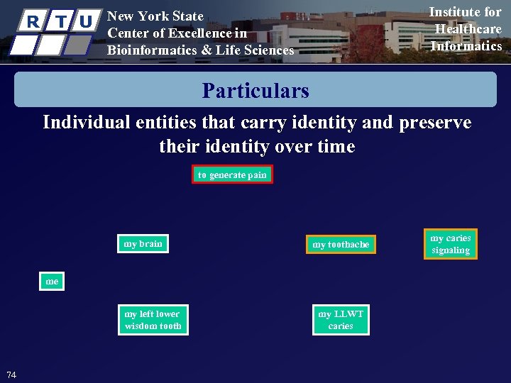 R T U Institute for Healthcare Informatics New York State Center of Excellence in