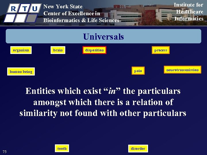R T U Institute for Healthcare Informatics New York State Center of Excellence in
