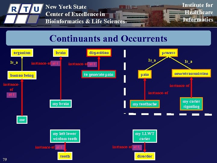 R T U Institute for Healthcare Informatics New York State Center of Excellence in