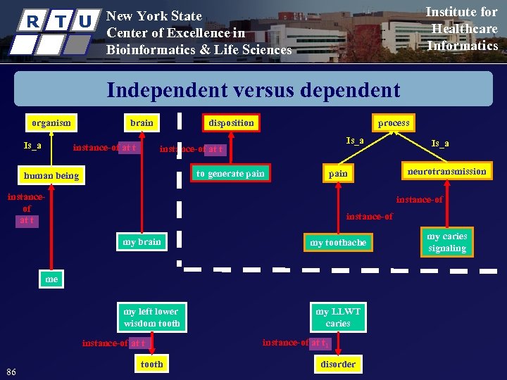 R T U Institute for Healthcare Informatics New York State Center of Excellence in