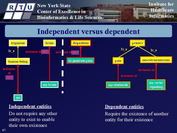 R T U Institute for Healthcare Informatics New York State Center of Excellence in