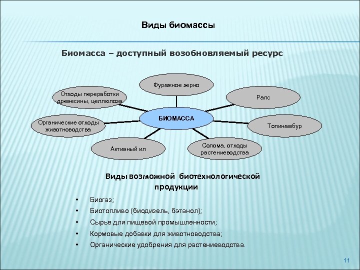 Виды биомассы Биомасса – доступный возобновляемый ресурс Фуражное зерно Отходы переработки древесины, целлюлоза Рапс