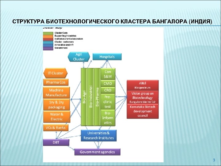 СТРУКТУРА БИОТЕХНОЛОГИЧЕСКОГО КЛАСТЕРА БАНГАЛОРА (ИНДИЯ) 3 