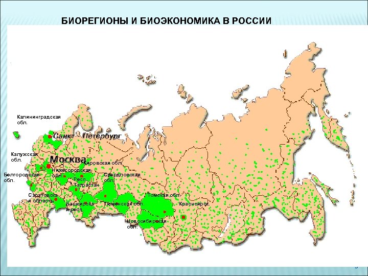 БИОРЕГИОНЫ И БИОЭКОНОМИКА В РОССИИ Калининградская обл. Калужская обл. Белгородская обл. Кировская обл. Нижегородская