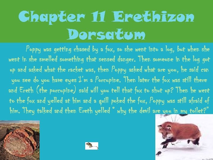 Chapter 11 Erethizon Dorsatum Poppy was getting chased by a fox, so she went