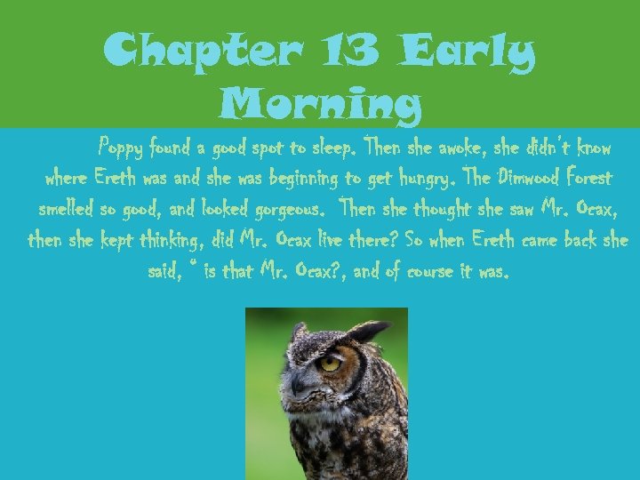 Chapter 13 Early Morning Poppy found a good spot to sleep. Then she awoke,