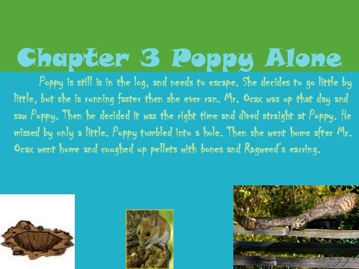 Chapter 3 Poppy Alone Poppy is still is in the log, and needs to