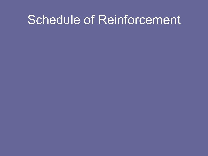 Schedule of Reinforcement 