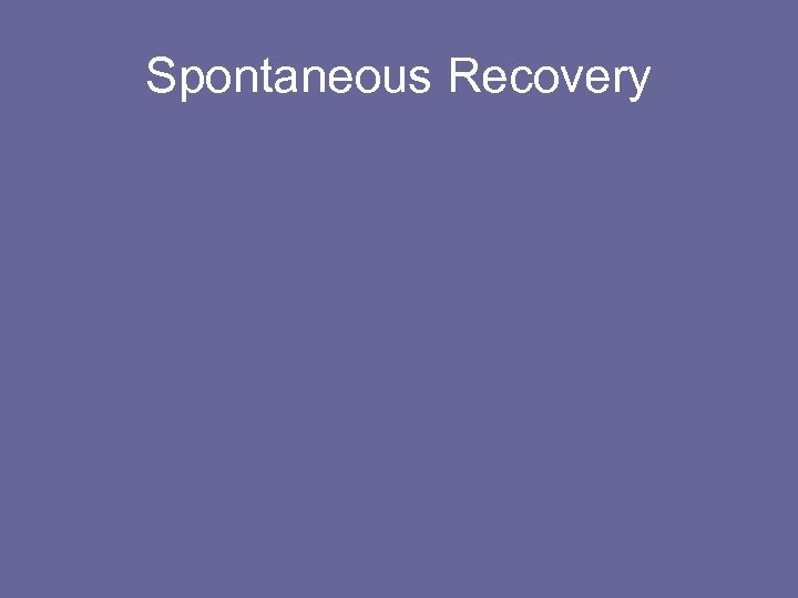 Spontaneous Recovery 