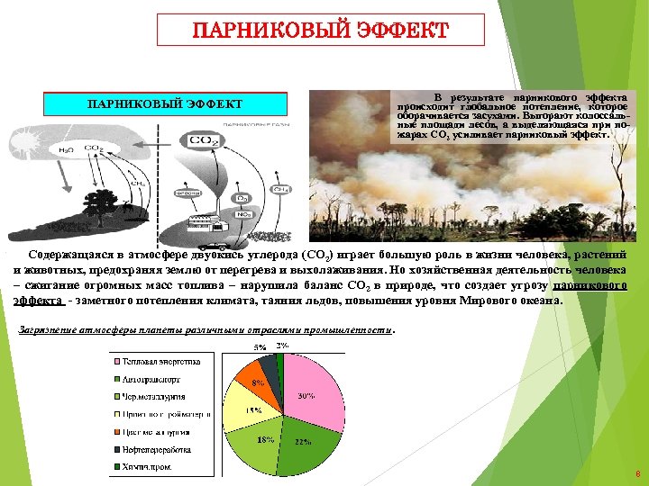 ПАРНИКОВЫЙ ЭФФЕКТ УНИЧТОЖЕНИЕ ЛЕСОВ В результате парникового эффекта происходит глобальное потепление, которое оборачивается засухами.