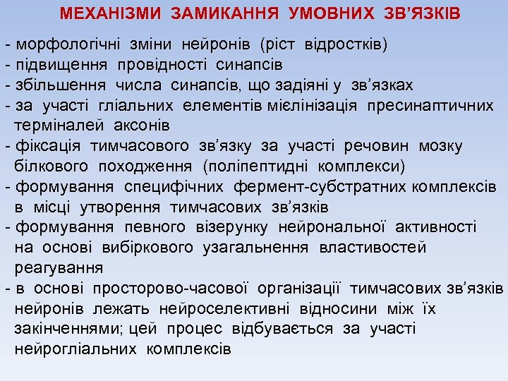 МЕХАНІЗМИ ЗАМИКАННЯ УМОВНИХ ЗВ’ЯЗКІВ - морфологічні зміни нейронів (ріст відростків) - підвищення провідності синапсів