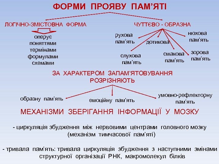 ФОРМИ ПРОЯВУ ПАМ’ЯТІ ЛОГІЧНО-ЗМІСТОВНА ФОРМА оперує поняттями термінами формулами схемами ЧУТТЄВО - ОБРАЗНА рухова