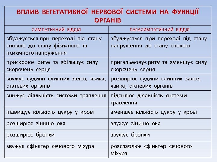 ВПЛИВ ВЕГЕТАТИВНОЇ НЕРВОВОЇ СИСТЕМИ НА ФУНКЦІЇ ОРГАНІВ СИМПАТИЧНИЙ ВІДДІЛ ПАРАСИМПАТИЧНИЙ ВІДДІЛ збуджується при переході