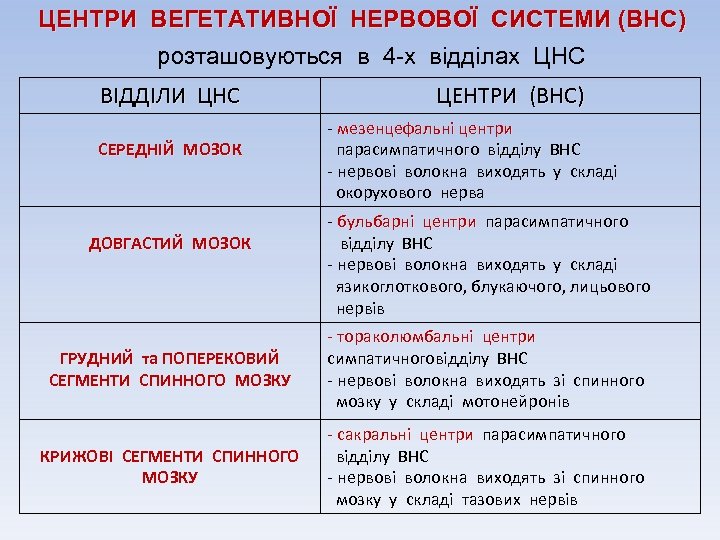 ЦЕНТРИ ВЕГЕТАТИВНОЇ НЕРВОВОЇ СИСТЕМИ (ВНС) розташовуються в 4 -х відділах ЦНС ВІДДІЛИ ЦНС СЕРЕДНІЙ