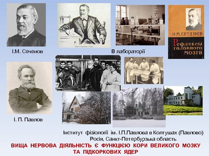 І. М. Сеченов В лабораторії І. П. Павлов Інститут фізіології ім. І. П. Павлова