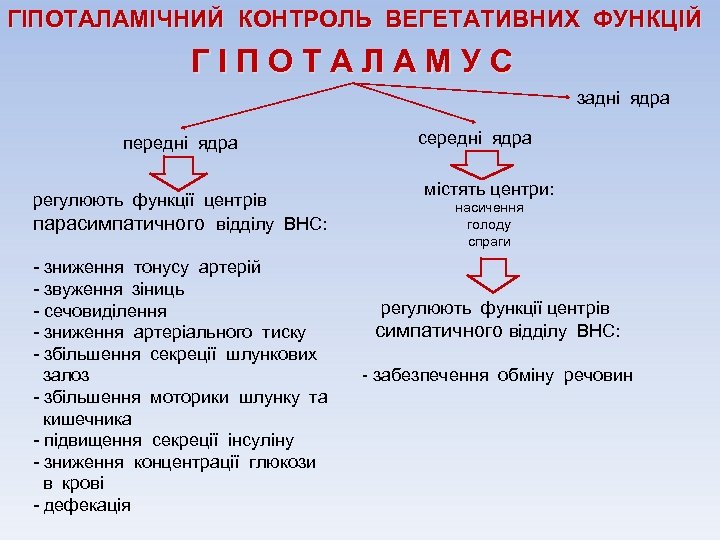 ГІПОТАЛАМІЧНИЙ КОНТРОЛЬ ВЕГЕТАТИВНИХ ФУНКЦІЙ ГІПОТАЛАМУС задні ядра передні ядра регулюють функції центрів парасимпатичного відділу