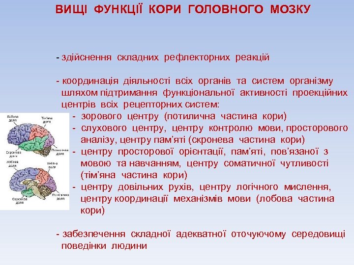 ВИЩІ ФУНКЦІЇ КОРИ ГОЛОВНОГО МОЗКУ - здійснення складних рефлекторних реакцій - координація діяльності всіх