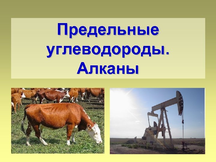 Предельные углеводороды. Алканы 25 