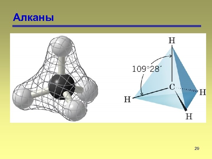 Алканы 29 