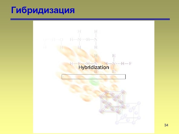 Гибридизация 34 