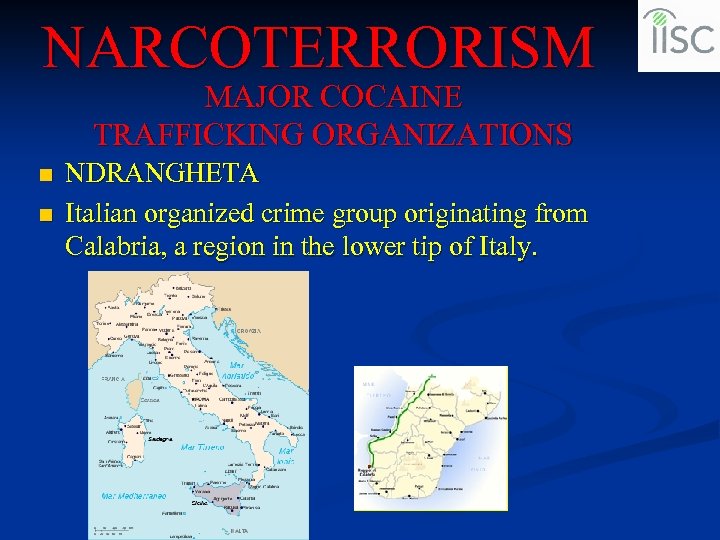 NARCOTERRORISM MAJOR COCAINE TRAFFICKING ORGANIZATIONS n n NDRANGHETA Italian organized crime group originating from