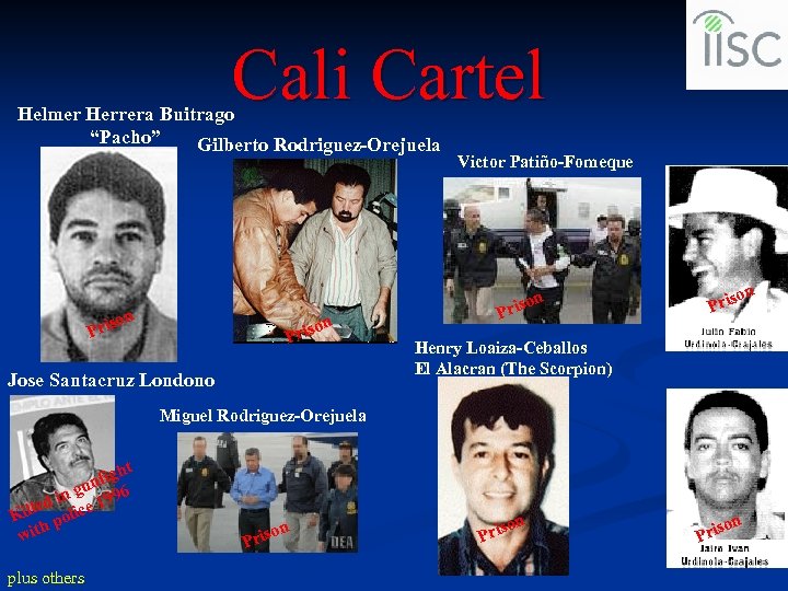 Cali Cartel Helmer Herrera Buitrago “Pacho” Gilberto Rodriguez-Orejuela Victor Patiño-Fomeque n n riso P