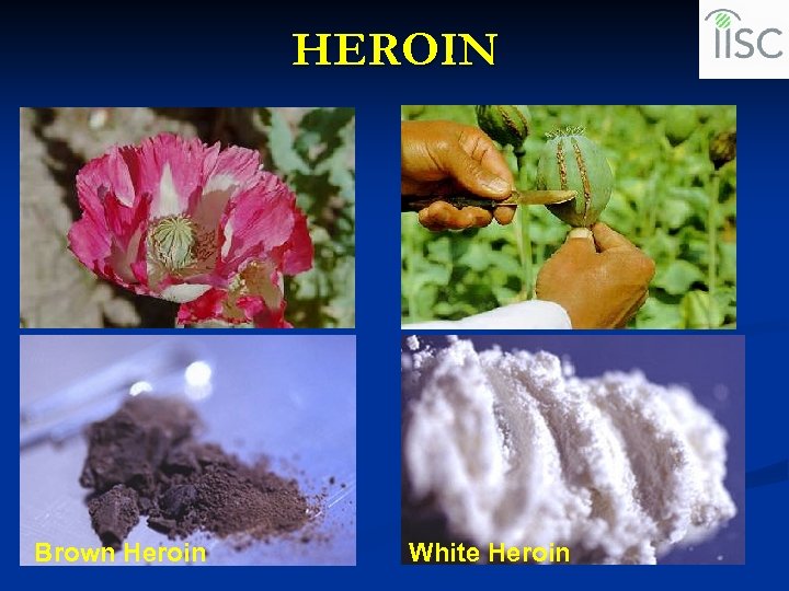 HEROIN Brown Heroin White Heroin 