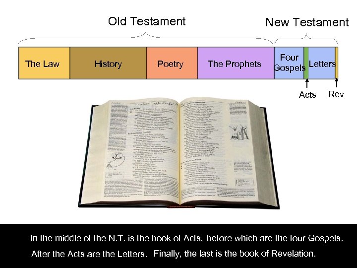 Old Testament The Law History Poetry New Testament The Prophets Four Gospels Letters Acts