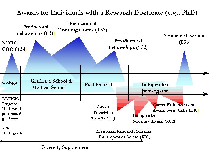 Awards for Individuals with a Research Doctorate (e. g. , Ph. D) Institutional Predoctoral
