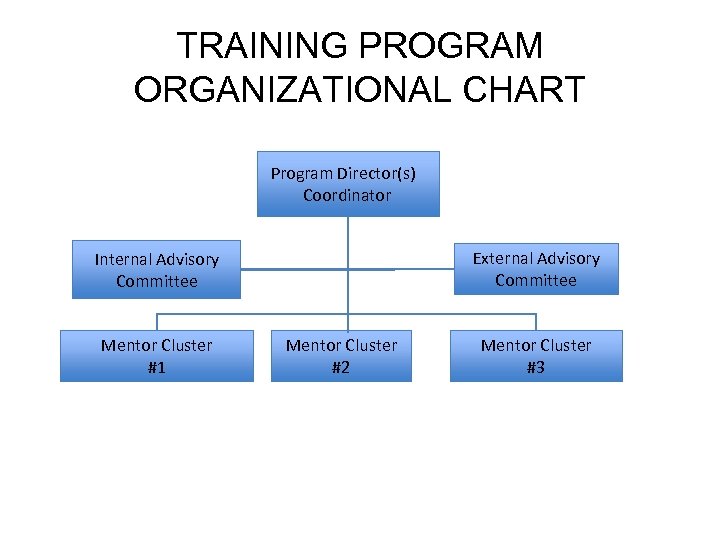 TRAINING PROGRAM ORGANIZATIONAL CHART Program Director(s) Coordinator External Advisory Committee Internal Advisory Committee Mentor