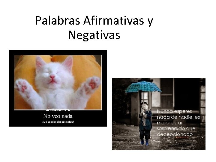 Palabras Afirmativas y Negativas 