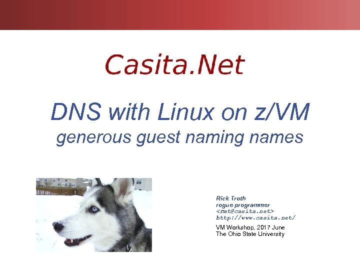 DNS with Linux on z/VM generous guest naming names Rick Troth rogue programmer <rmt@casita.