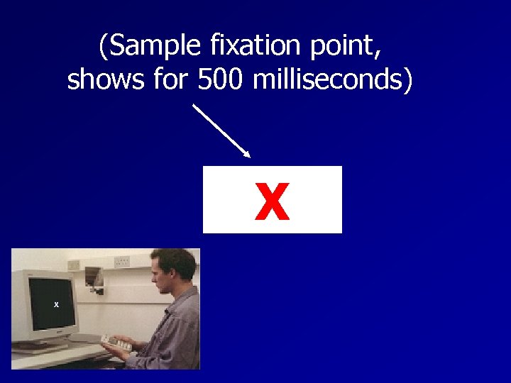 (Sample fixation point, shows for 500 milliseconds) X X 