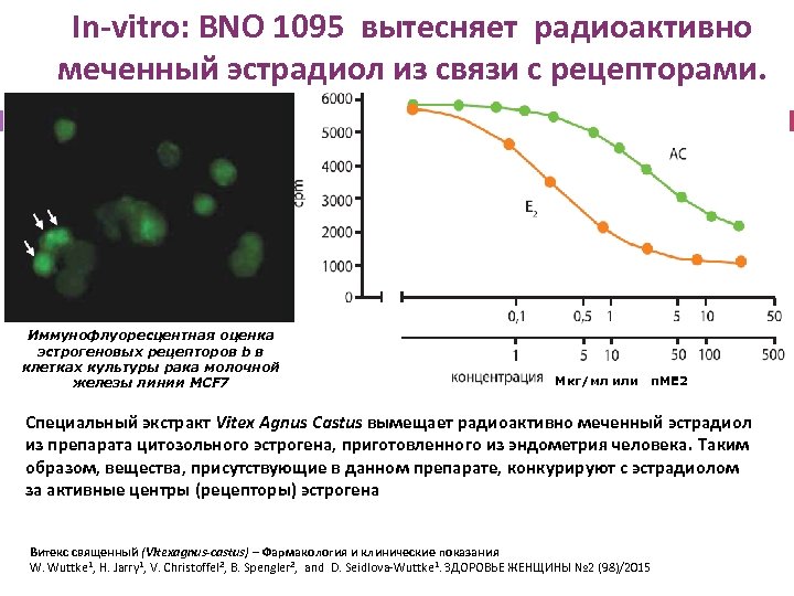 In-vitro: BNO 1095 вытесняет радиоактивно меченный эстрадиол из связи с рецепторами. Иммунофлуоресцентная оценка эстрогеновых